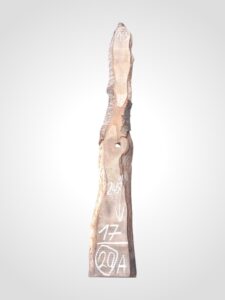 Třešeň evropská 32 mm - 20