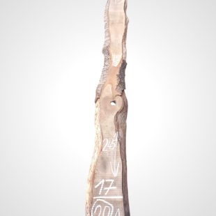 Třešeň evropská 32 mm - 20