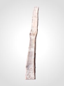 Třešeň evropská 32 mm - 21