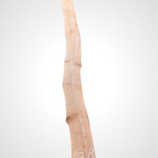 Třešeň evropská 30/32 mm - 27