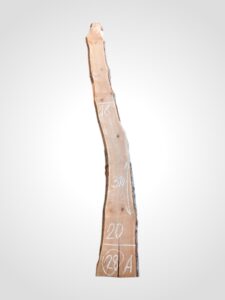 Třešeň evropská 30/32 mm - 28