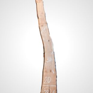 Třešeň evropská 30/32 mm - 28