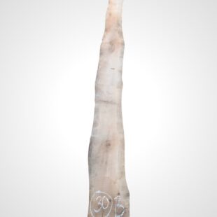 Třešeň evropská 30/32 mm - 30