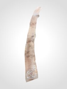 Třešeň evropská 30/32 mm - 32