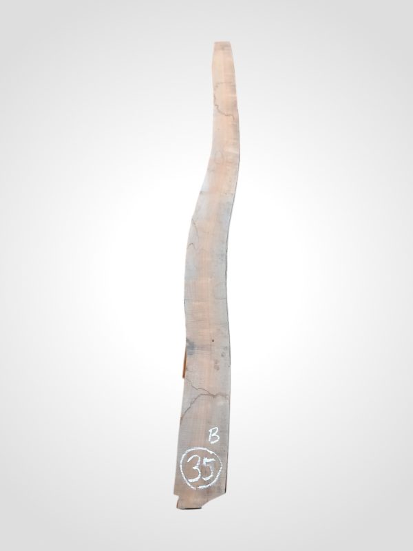 Třešeň evropská 30/32 mm - 35