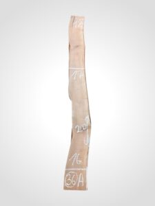 Třešeň evropská 30/32 mm - 36
