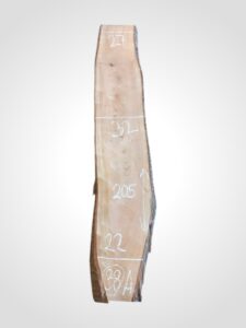 Třešeň evropská 30/32 mm - 38