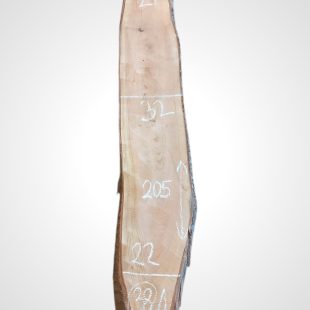 Třešeň evropská 30/32 mm - 38