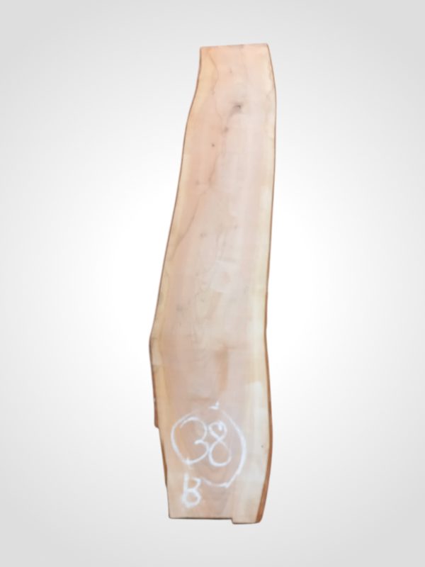 Třešeň evropská 30/32 mm - 38