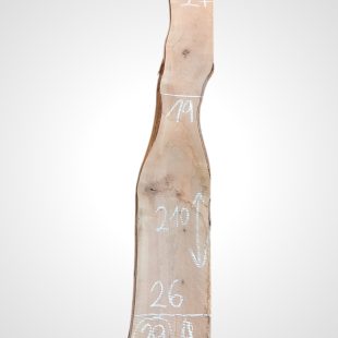 Třešeň evropská 30/32 mm - 39