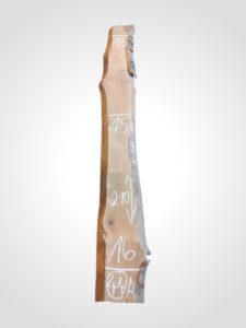 Třešeň evropská 30/32 mm - 44