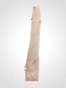 Třešeň evropská 30/32 mm - 44