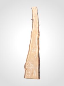 Třešeň evropská 32 mm - 4