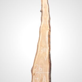 Třešeň evropská 32 mm - 4