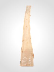 Třešeň evropská 32 mm - 4