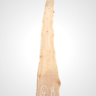 Třešeň evropská 32 mm - 4