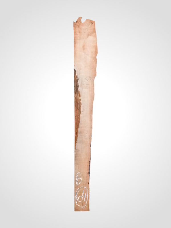 Třešeň evropská 30/32 mm - 64