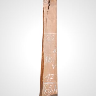 Třešeň evropská 30/32 mm - 65