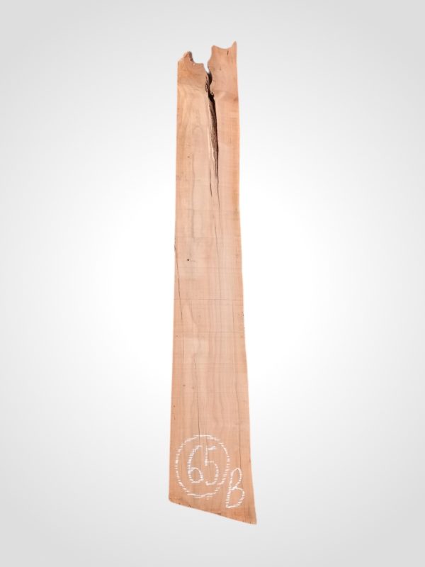 Třešeň evropská 30/32 mm - 65