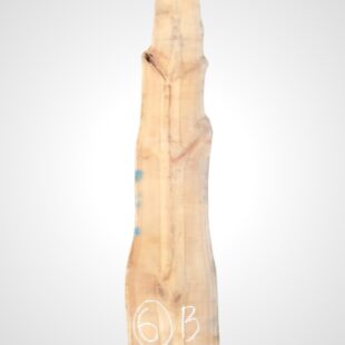 Třešeň evropská 32 mm - 6