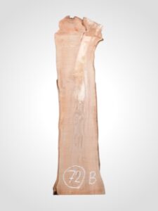Třešeň evropská 30/32 mm - 72