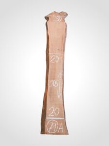 Třešeň evropská 30/32 mm - 79
