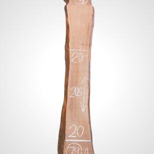 Třešeň evropská 30/32 mm - 79