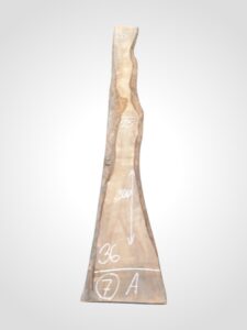 Třešeň evropská 32 mm - 7