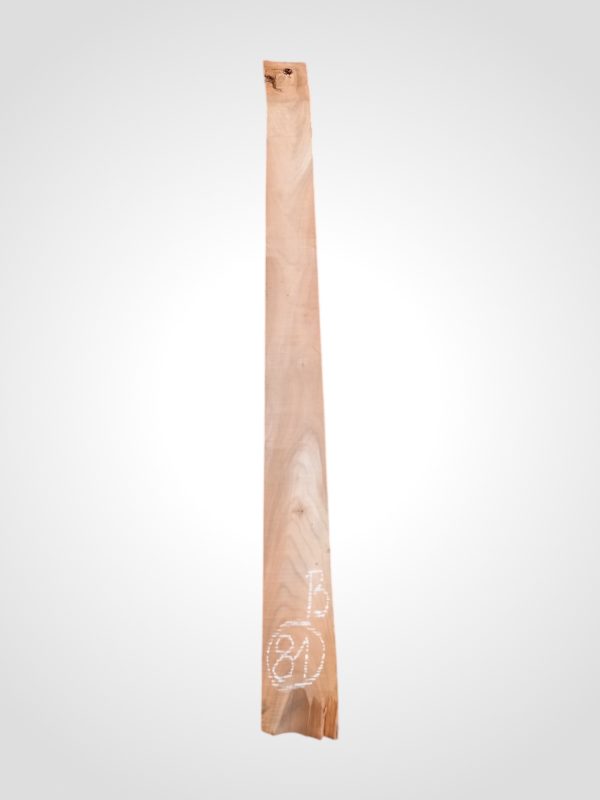 Třešeň evropská 30/32 mm - 81