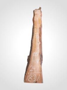 Třešeň evropská 30/32 mm - 83