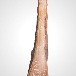 Třešeň evropská 30/32 mm - 83