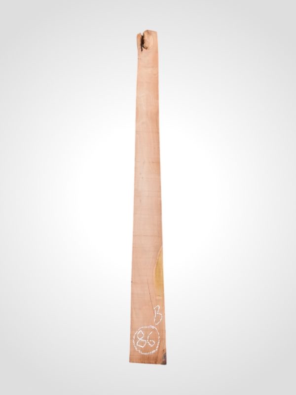 Třešeň evropská 30/32 mm - 86