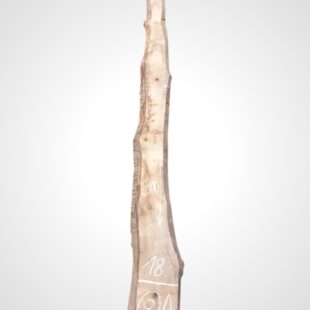Třešeň evropská 32 mm - 8