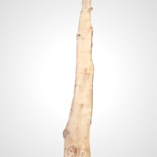 Třešeň evropská 32 mm - 8