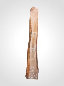 Třešeň evropská 30/32 mm - 94