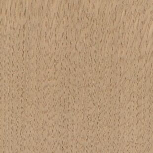 Kaštanovník - detail