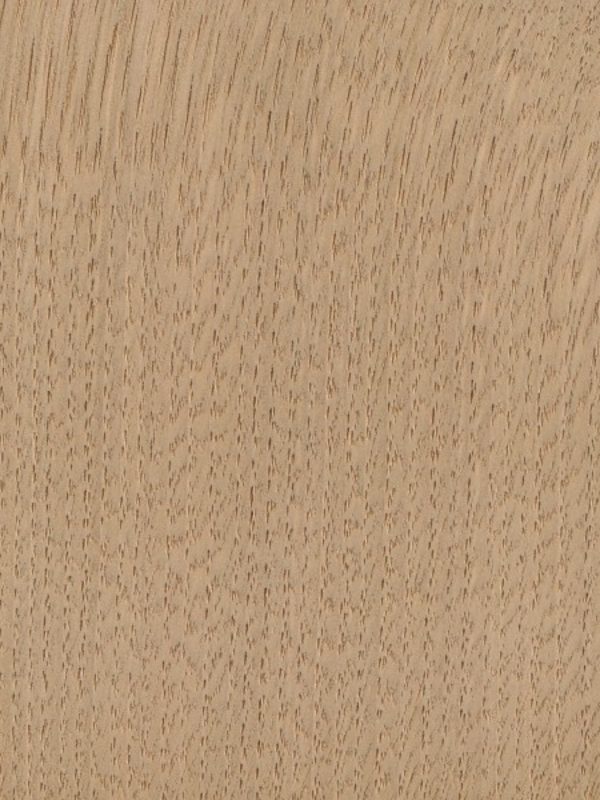 Kaštanovník - detail