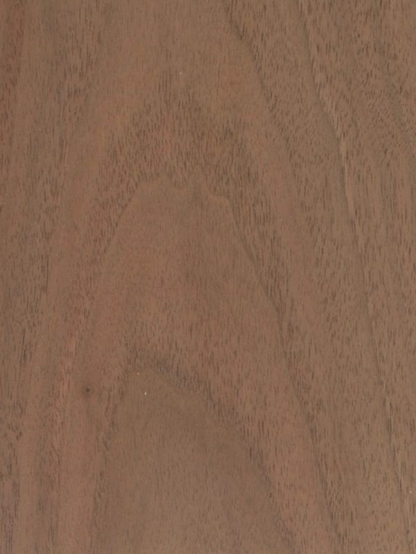 Ořech americký, detail