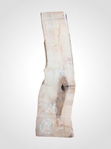 Citronovník 33 mm - 18