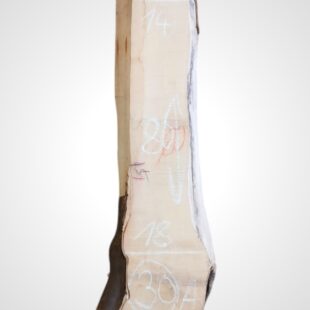 Citronovník 33 mm - 30