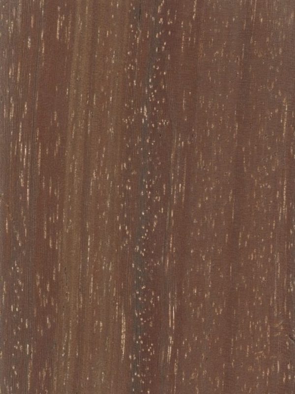 Azobe - detail