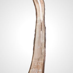 Ořech černý 30/32 mm - 100