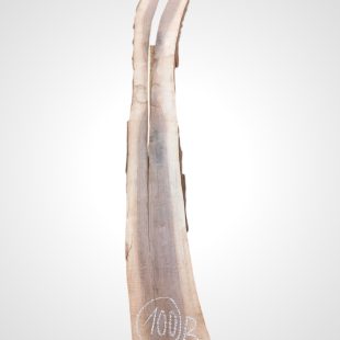 Ořech černý 30/32 mm - 100