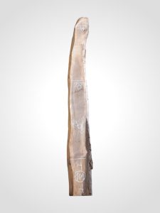 Ořech černý 30/32 mm - 101