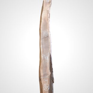 Ořech černý 30/32 mm - 101