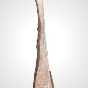 Ořech černý 30/32 mm - 106