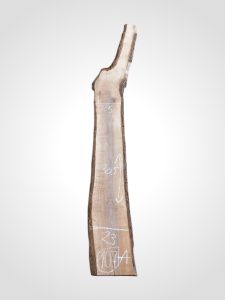 Ořech černý 30/32 mm - 107