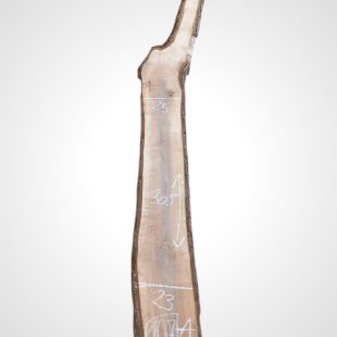 Ořech černý 30/32 mm - 107