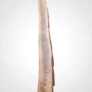Ořech černý 30/32 mm - 108