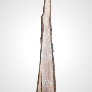 Ořech černý 30/32 mm - 109